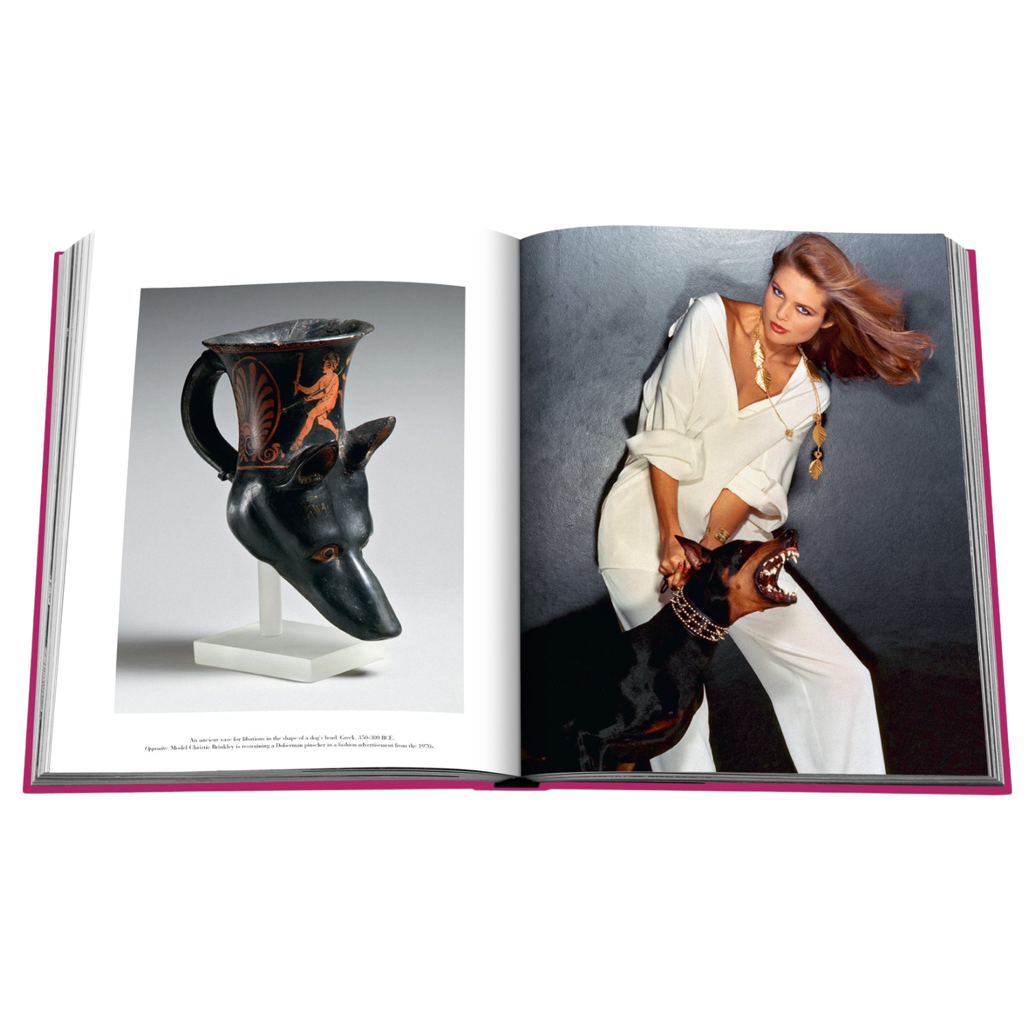 Assouline: Chic Dogs Hard Cover Book