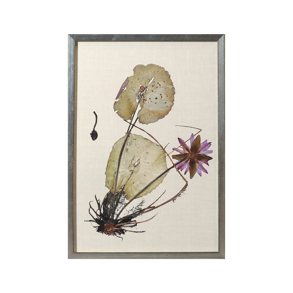 Pressed Lily Bloom I Framed Wall Art