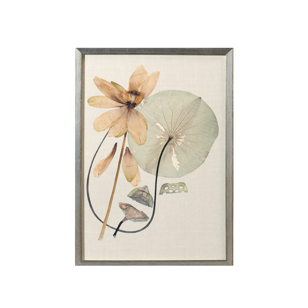 Pressed Lily Bloom VI Framed Wall Art