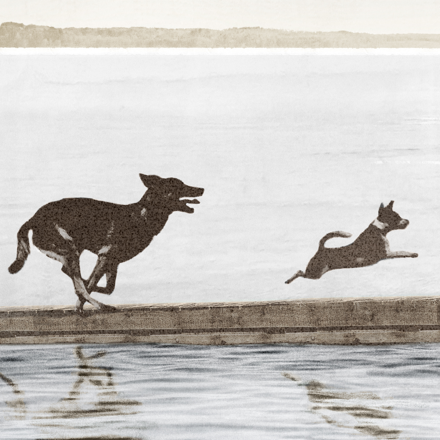 Dock Dogs Framed Wall Art