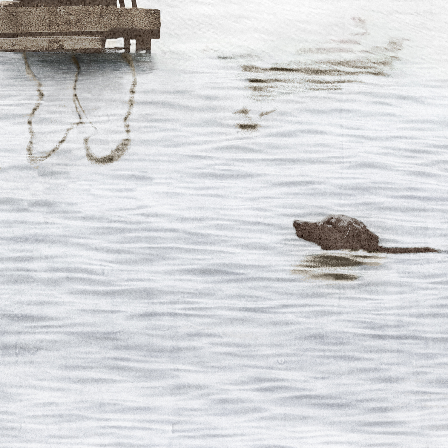 Dock Dogs Framed Wall Art