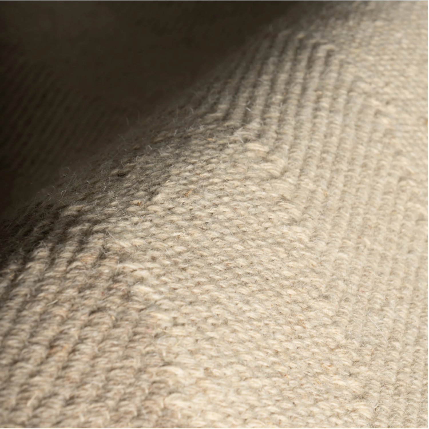 Dash & Albert x Nate Berkus Canon Bordered Wool Rug - Beige