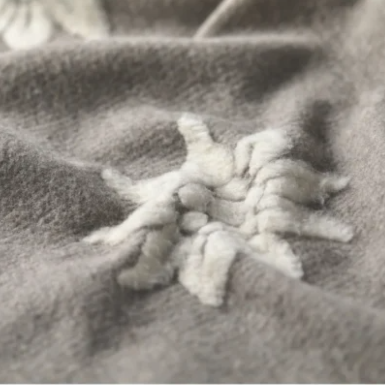 Blushing Blooms Ecru/Grey Throw Blanket