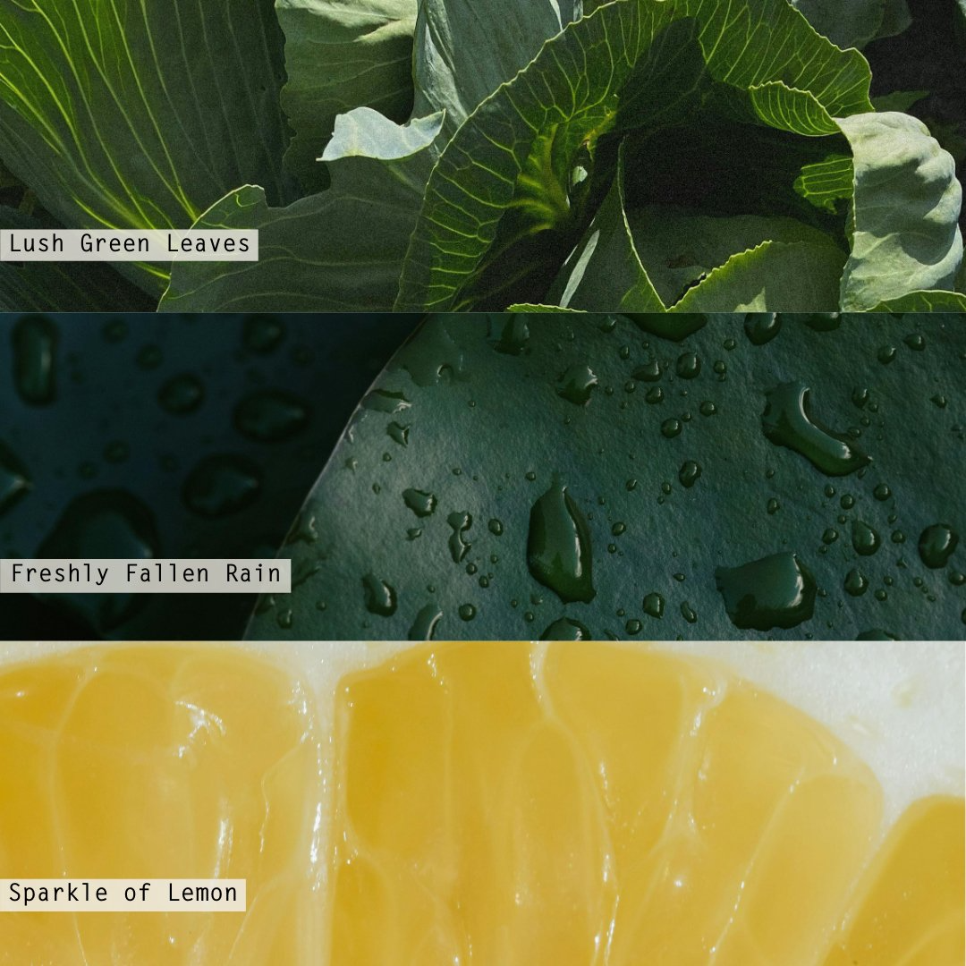 Hidden Lake Oak 10oz Glass Candle