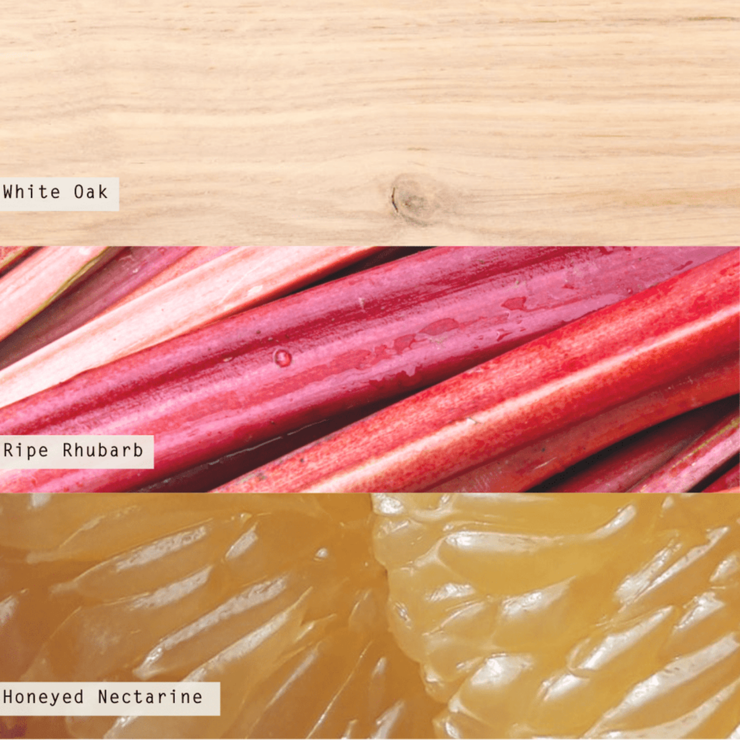 Rhubarb Honey 10oz Glass Candle