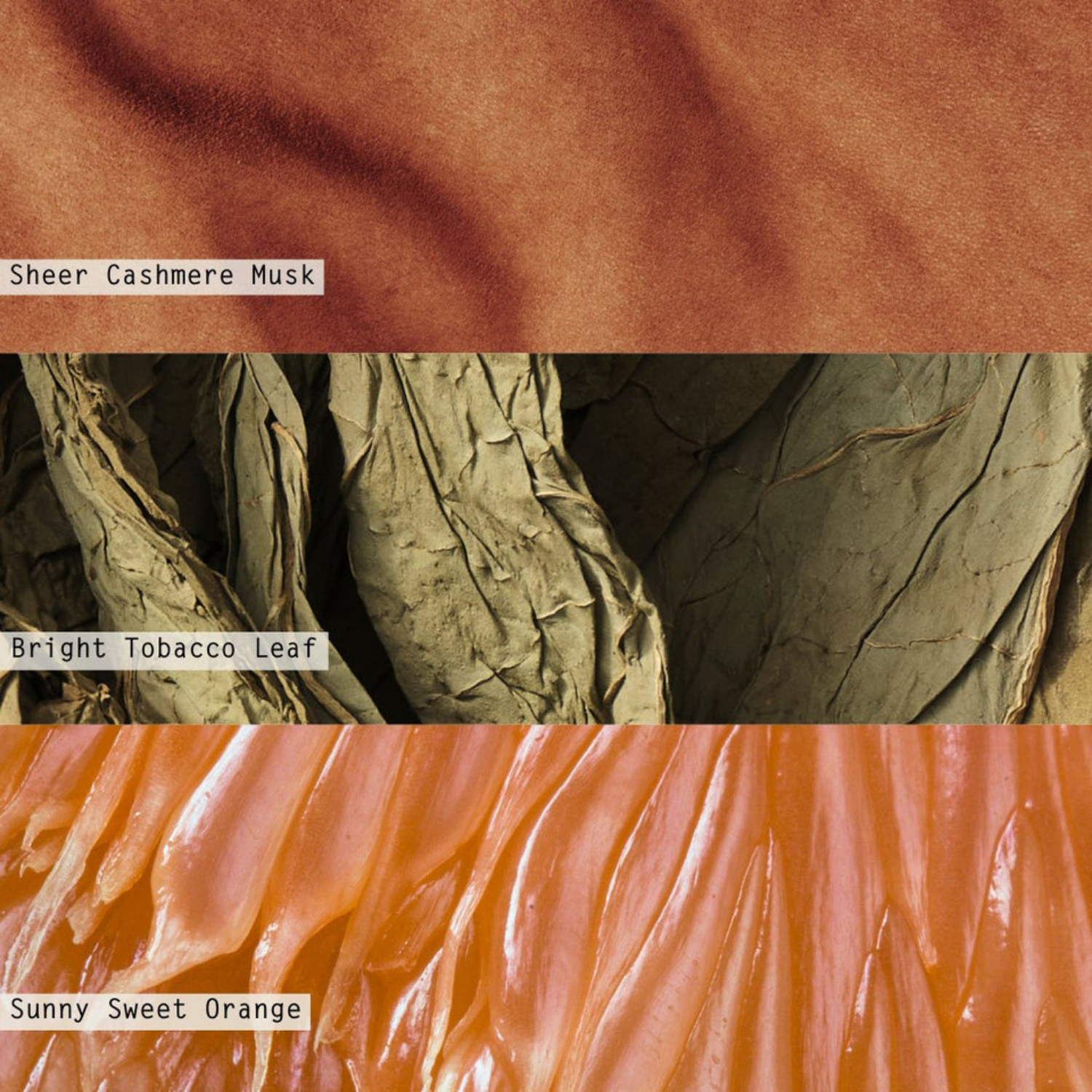 Terra Tabac 11.8oz Tin Candle