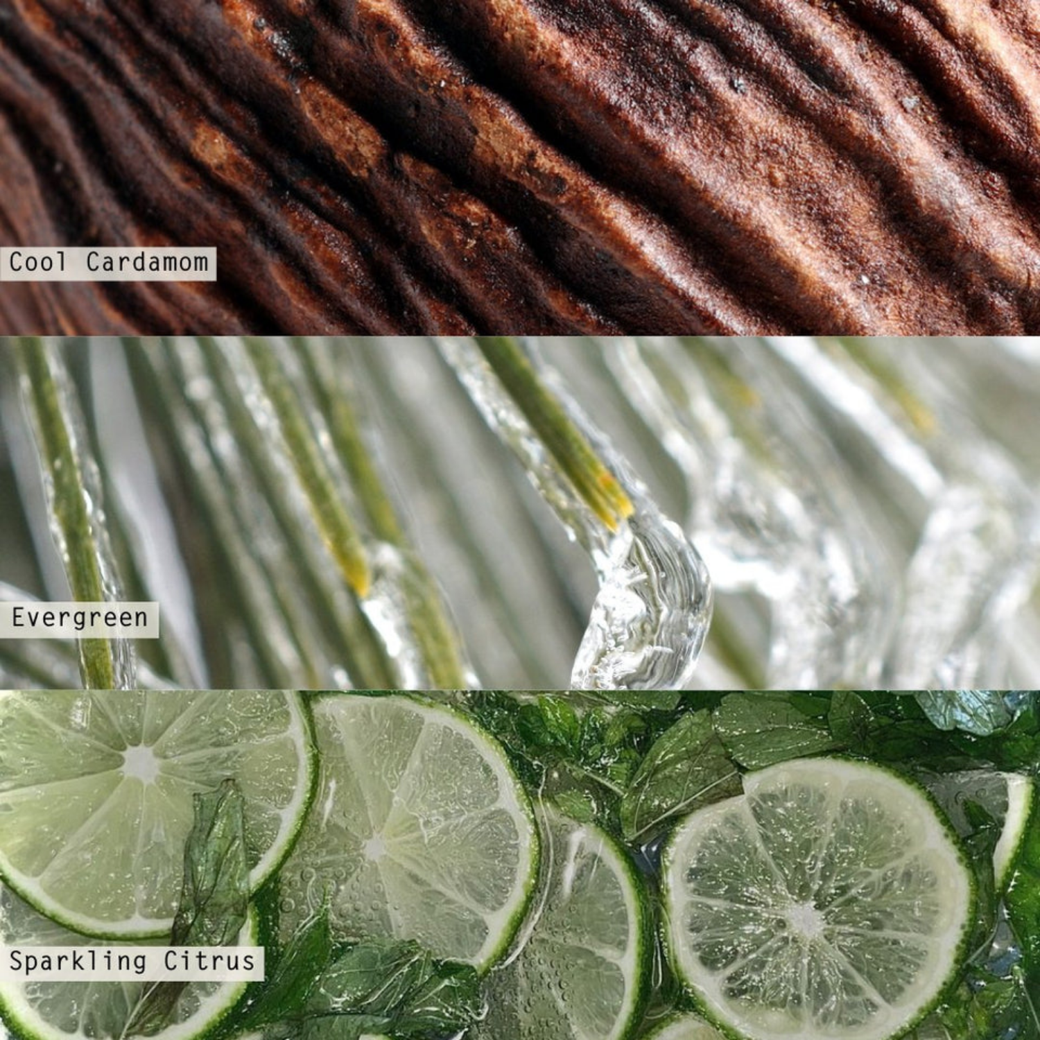 Winter White 4.8oz Trio Glass Candle Set