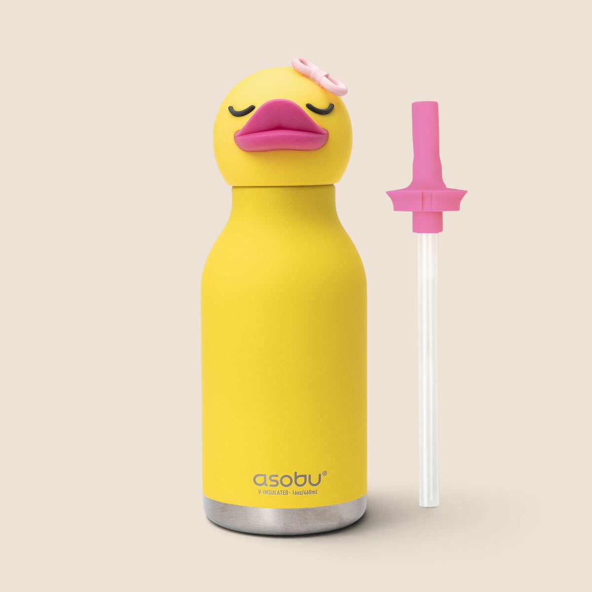 Buddy 16oz Water Bottle - Bryn Duck