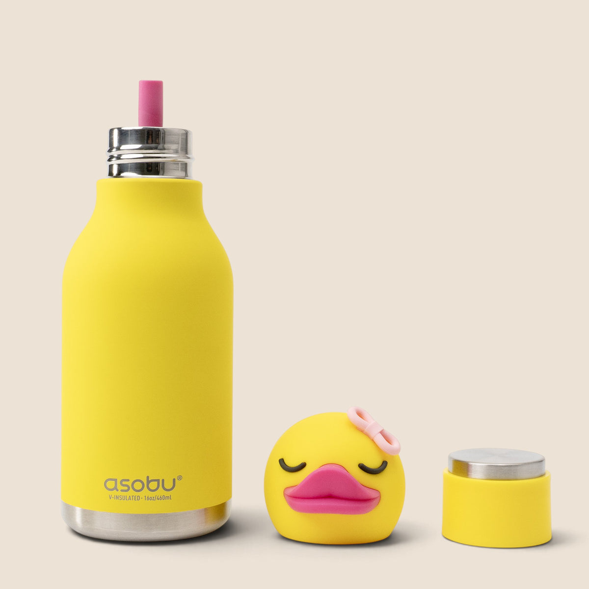 Buddy 16oz Water Bottle - Bryn Duck