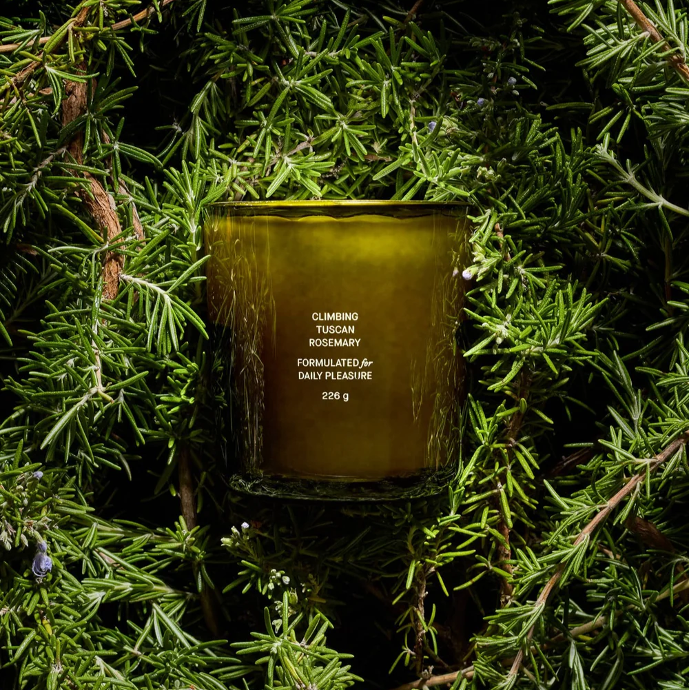 Flamingo Estate Climbing Tuscan Rosemary 8oz Candle