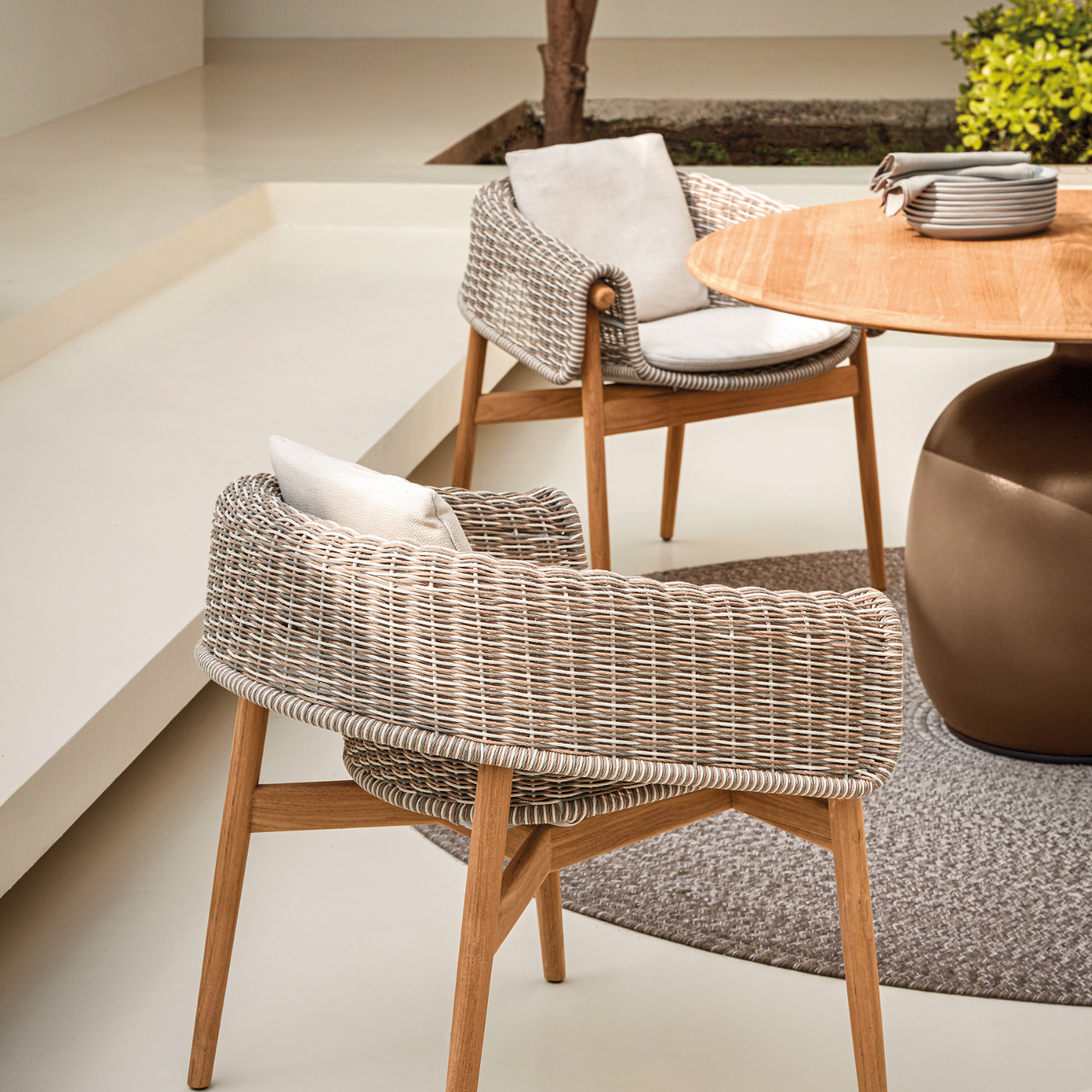 Gloster Wrap Dining Chair