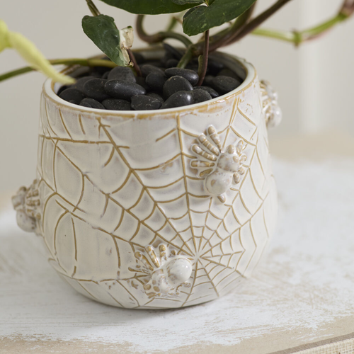 Spooky Spider Cream Ceramic Pot