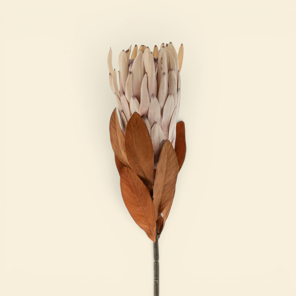 Artificial Protea Sprig
