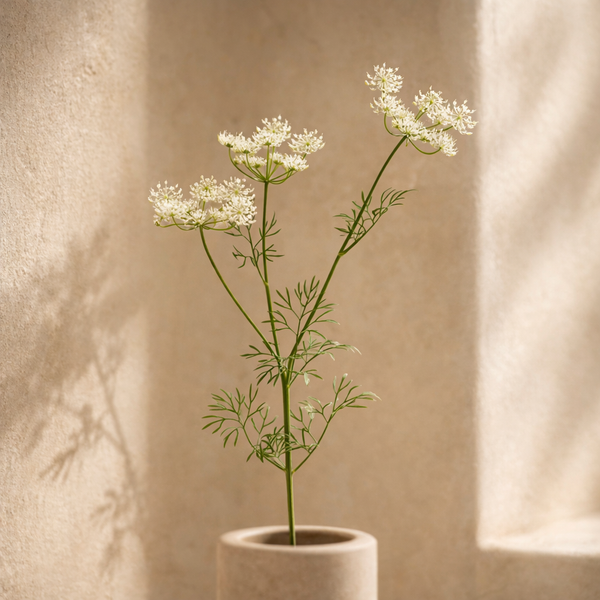 Artificial White Queen Annes Lace Spray