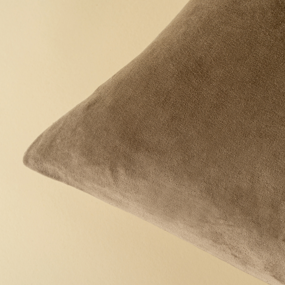 Velvet Birch Toss Pillow