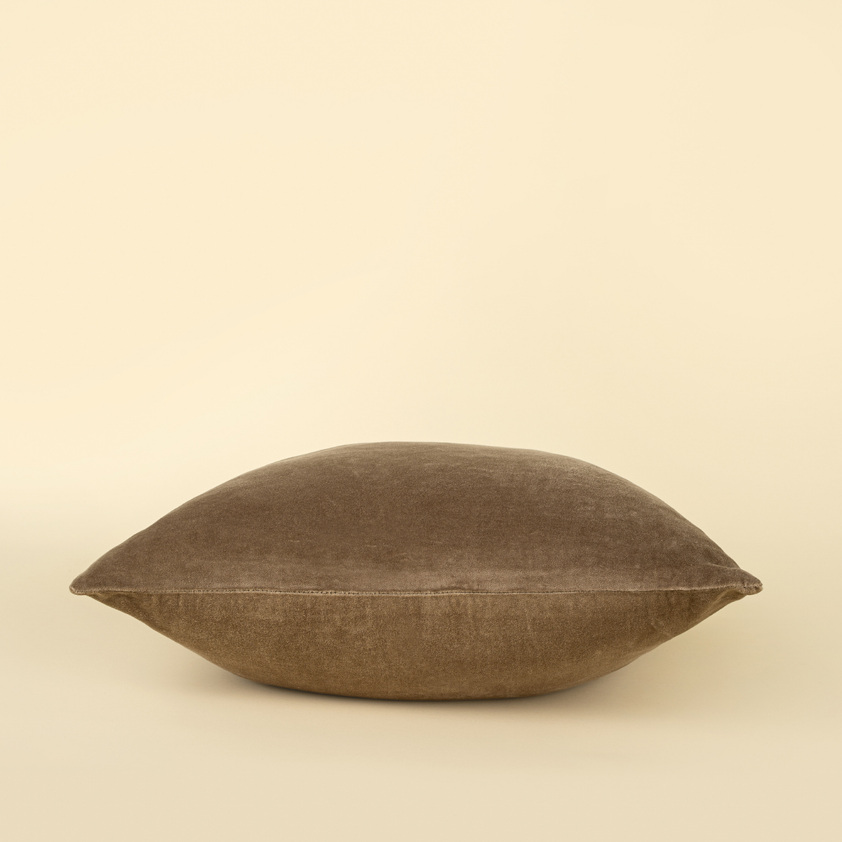 Velvet Birch Toss Pillow