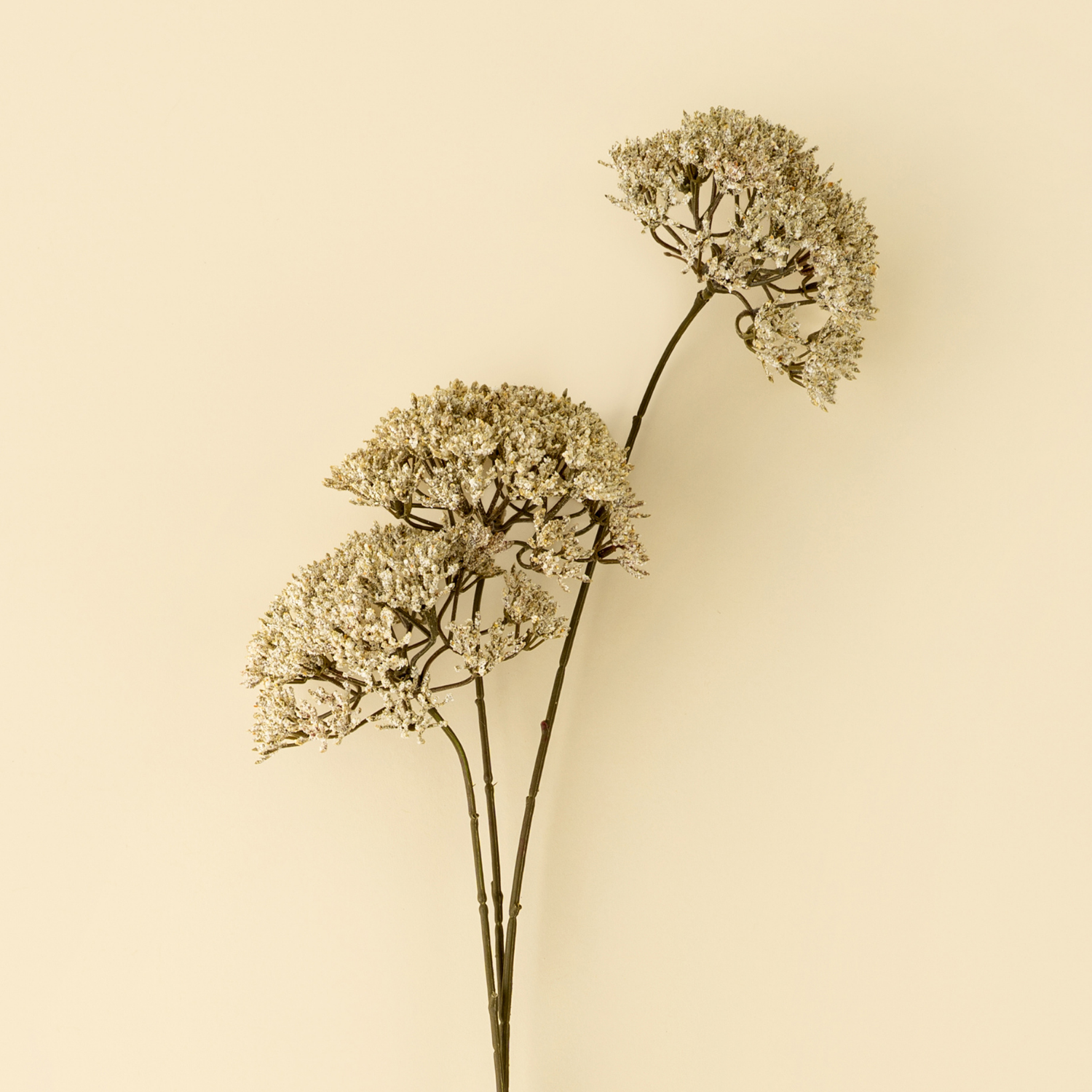 Artificial Anne Lace Stem