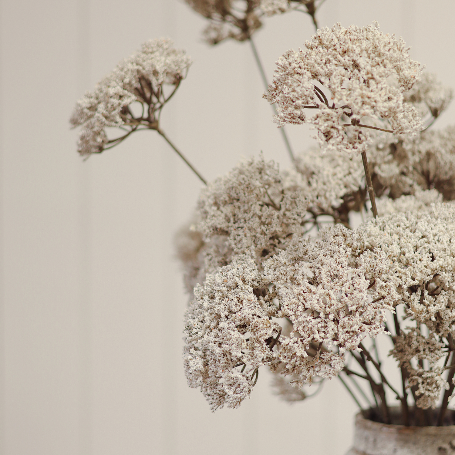 Artificial Anne Lace Stem