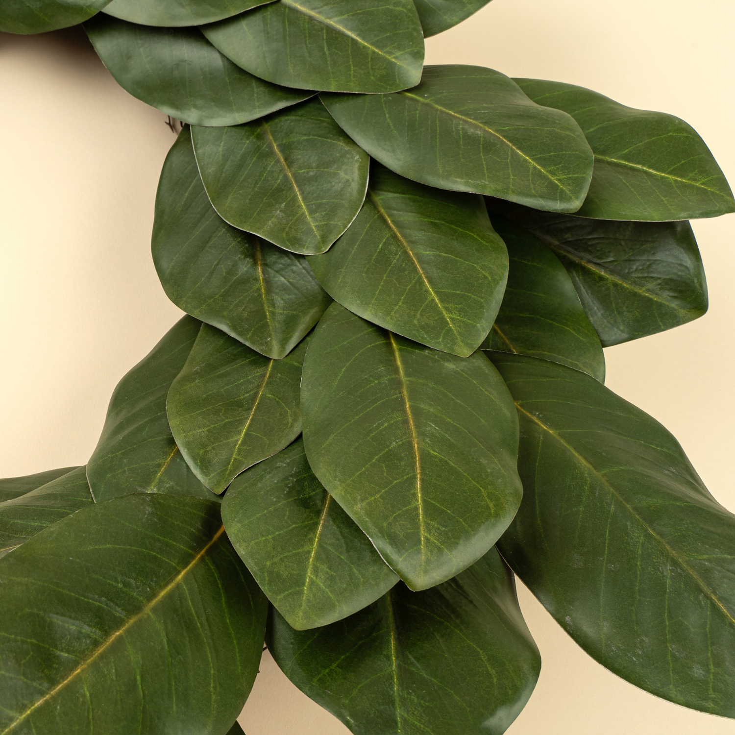 Green 25" Magnolia Wreath
