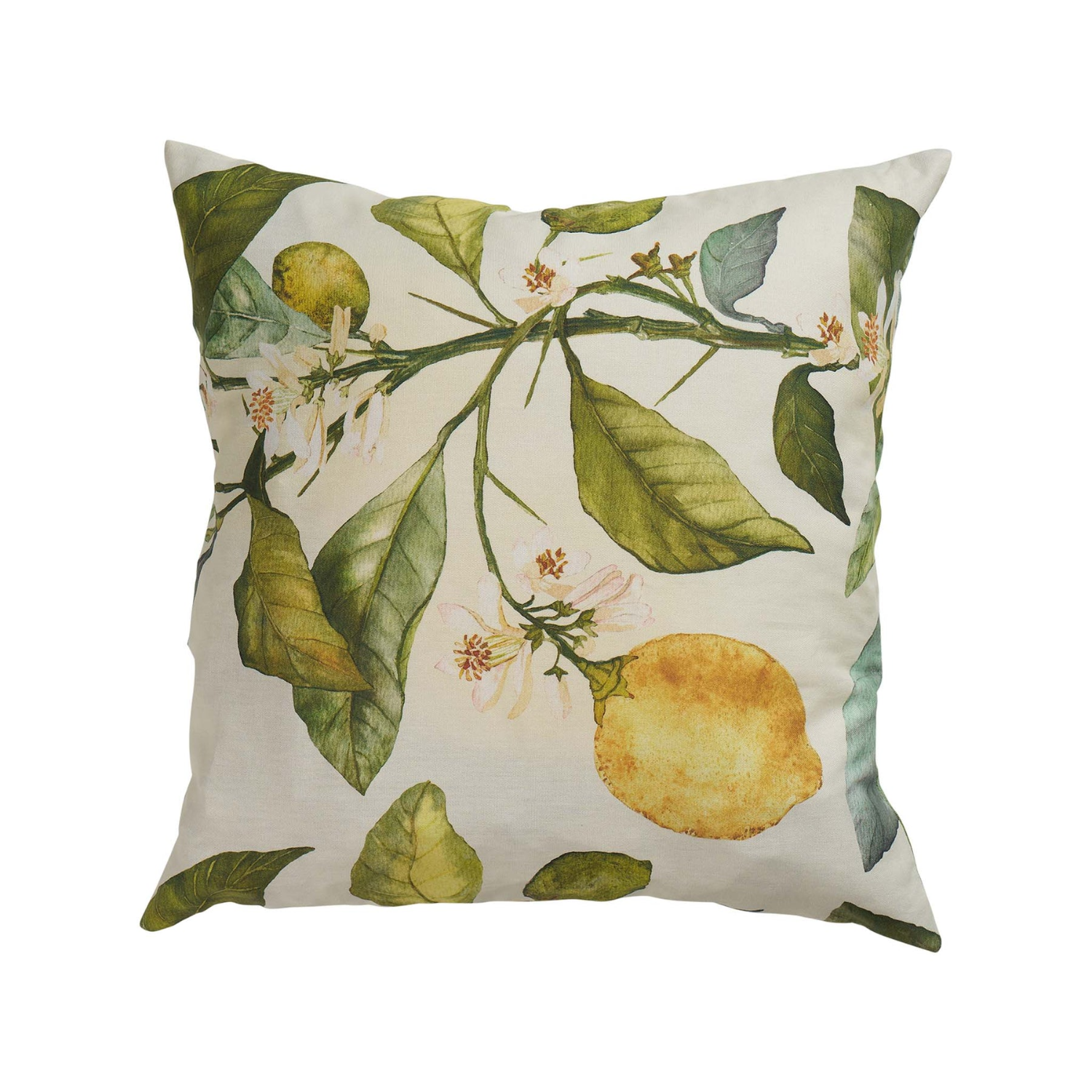 Breezy Citrus Toss Pillow