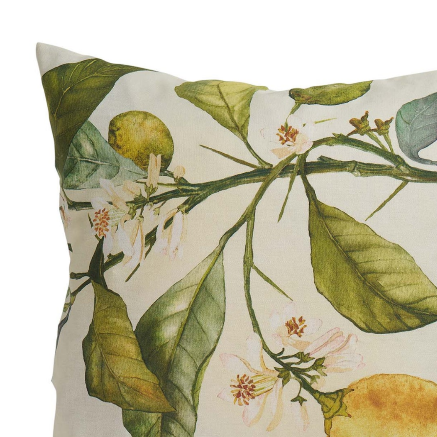 Breezy Citrus Toss Pillow