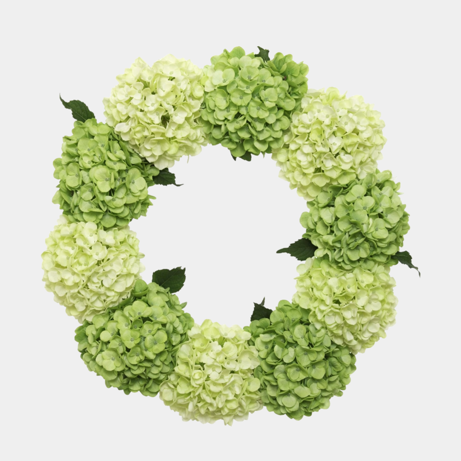 Artificial Green Hydrangea Wreath