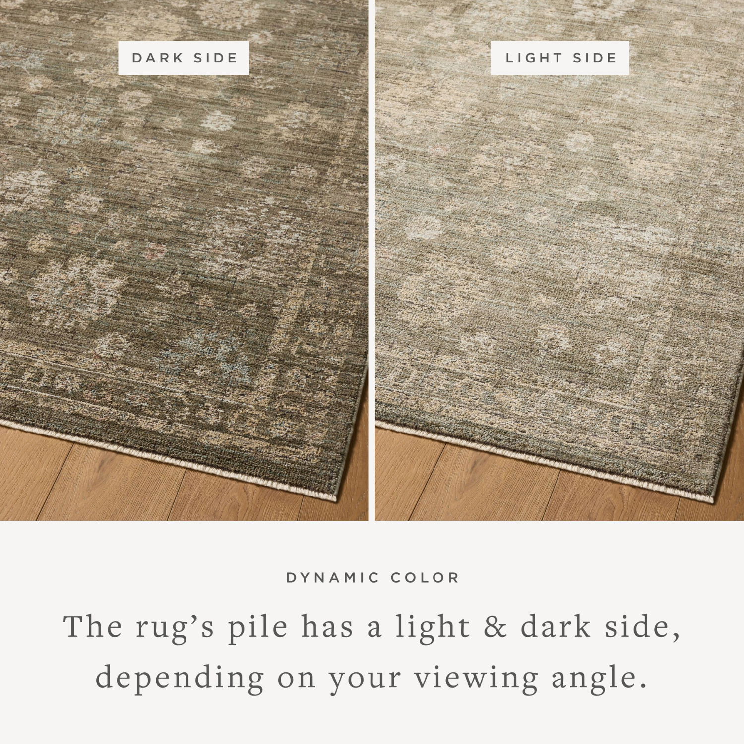Loloi Priscilla Olive/Sand Indoor Rug