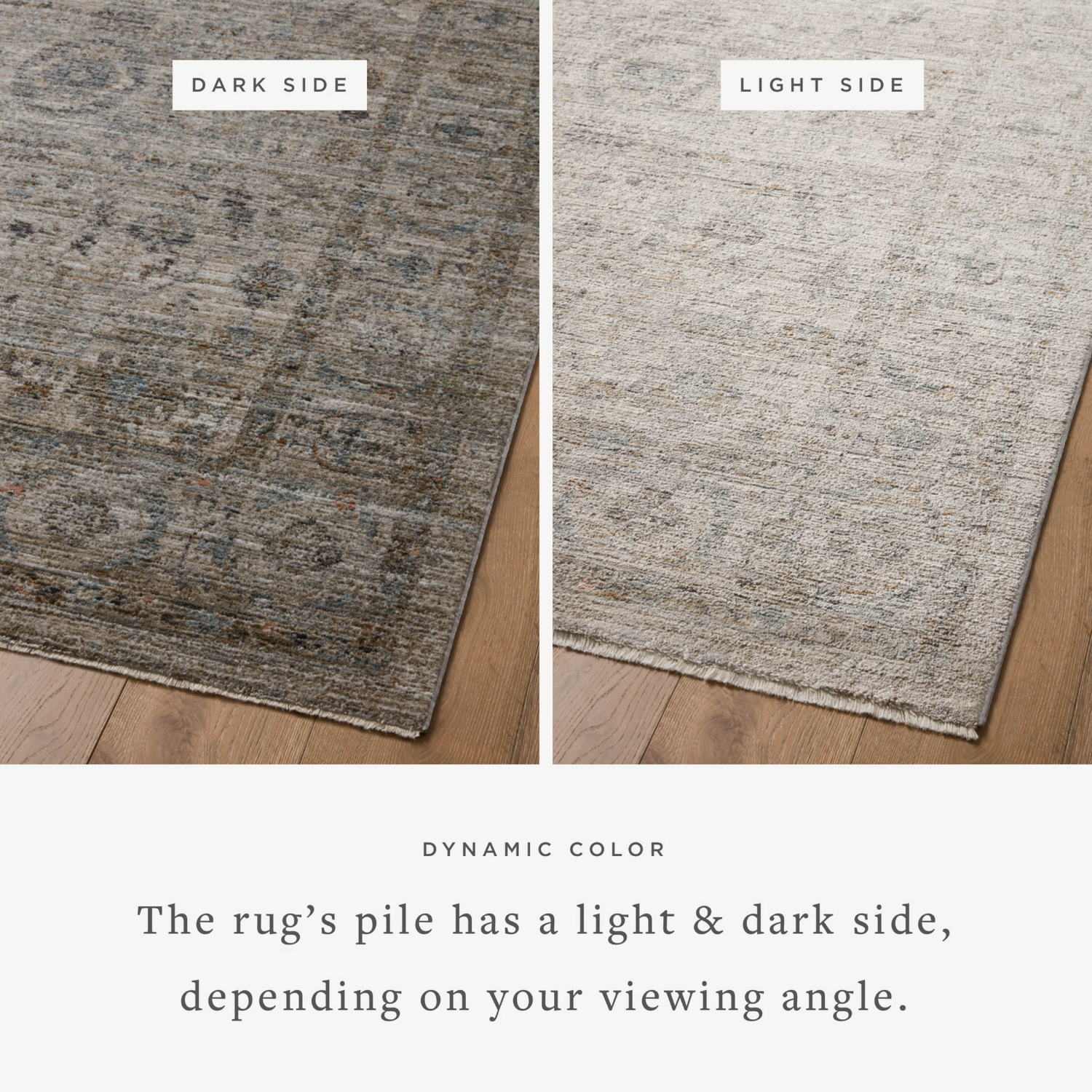 Jean Stoffer X Loloi Katherine Beige/ Mist Rug