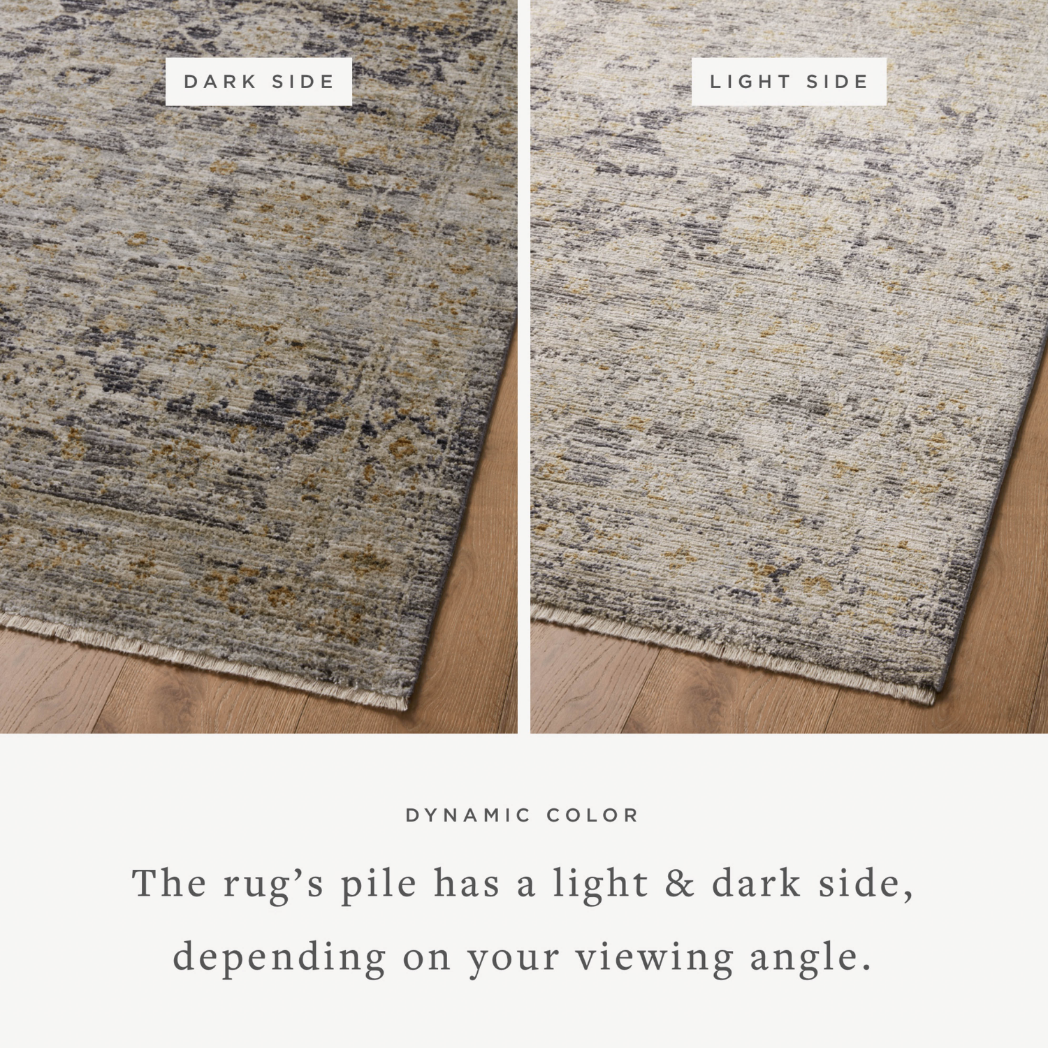 Jean Stoffer X Loloi Katherine Charcoal/ Gold Rug