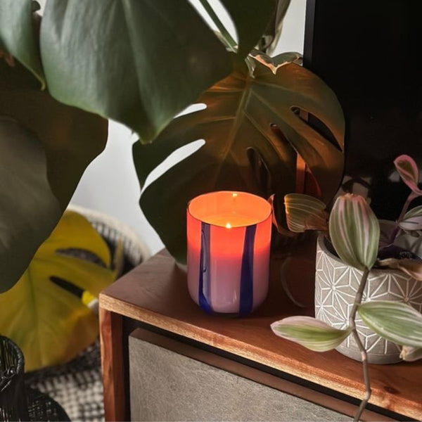 Bold Glass 10oz Candle - Blackcurrant/Oudh