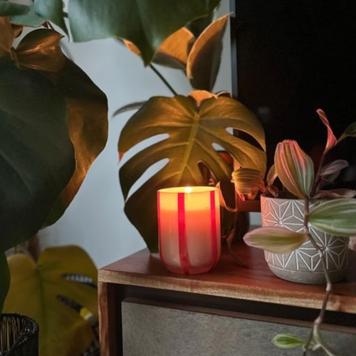 Bold Glass 10oz Candle - Orange/Blossom/Basil