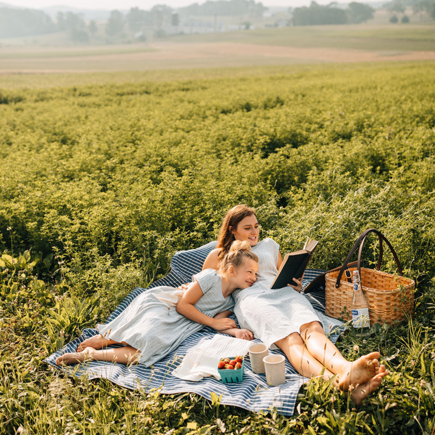 Woven Natural Cove Picnic Basket
