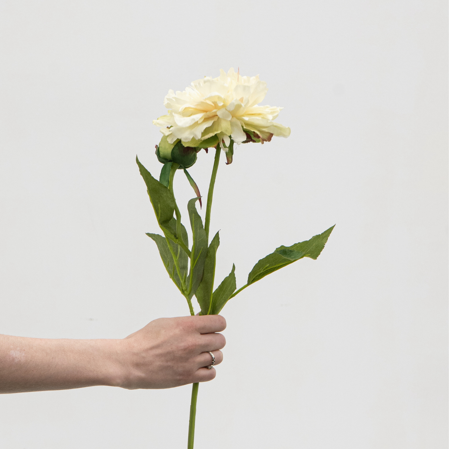 Artificial Peony Spray - Cream/Green