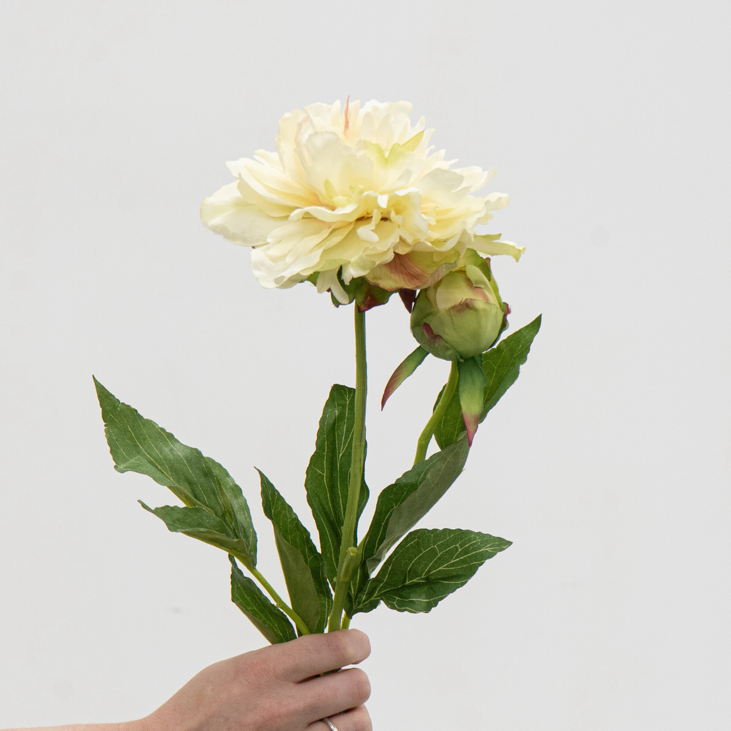 Artificial Peony Spray - Cream/Green