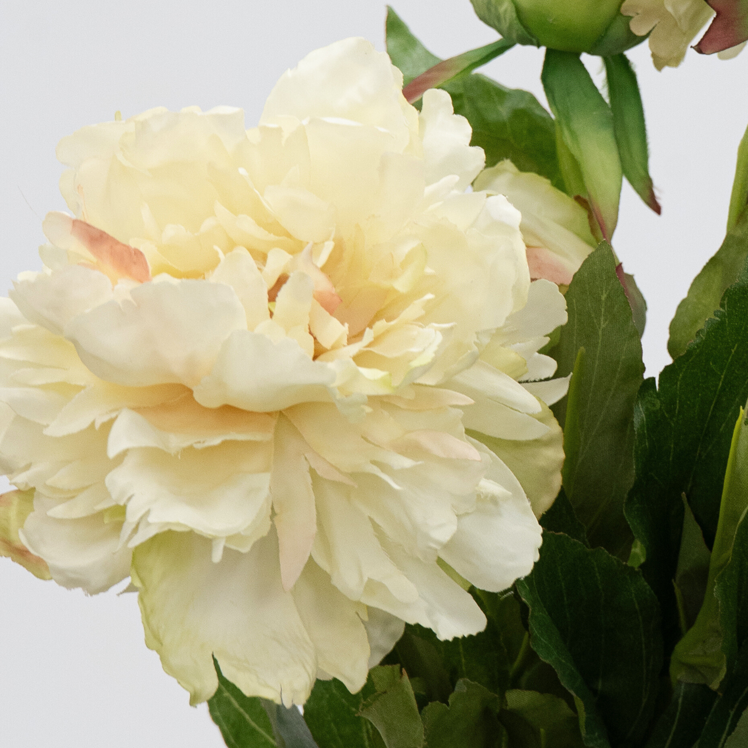 Artificial Peony Spray - Cream/Green