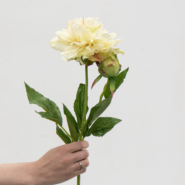 Artificial Peony Spray - Cream/Green