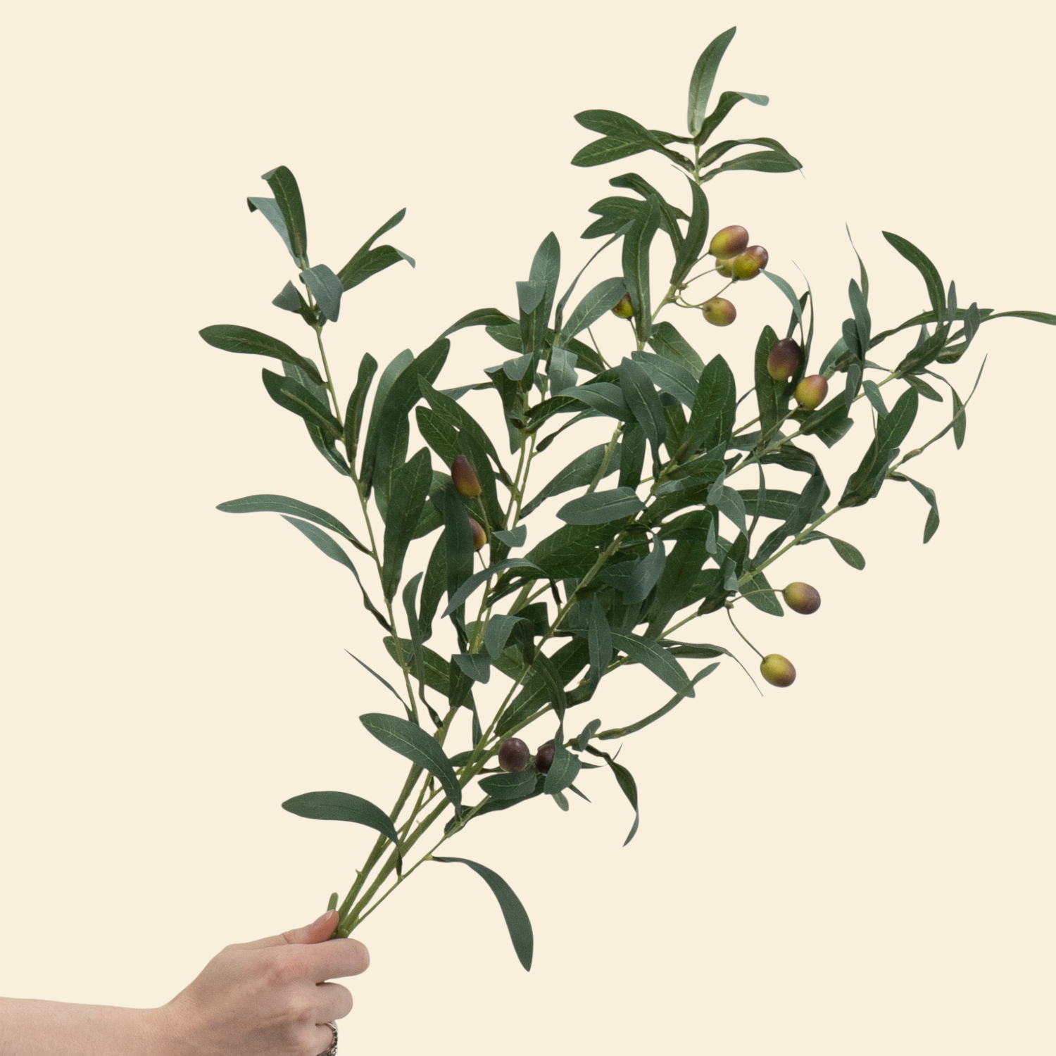 Artificial Olive Spray