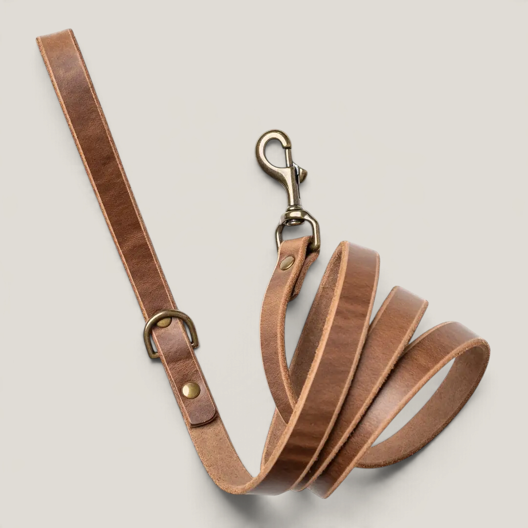 Leather Dog Leash - Natural