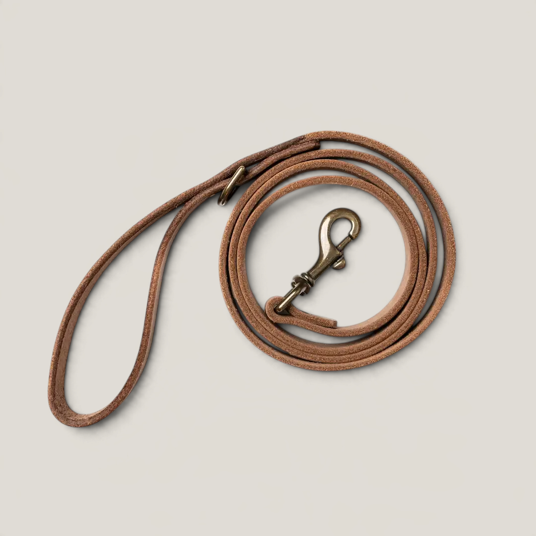 Leather Dog Leash - Natural