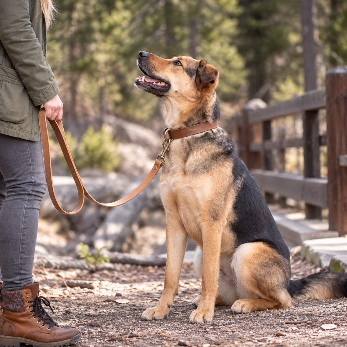 Leather Dog Leash - Natural