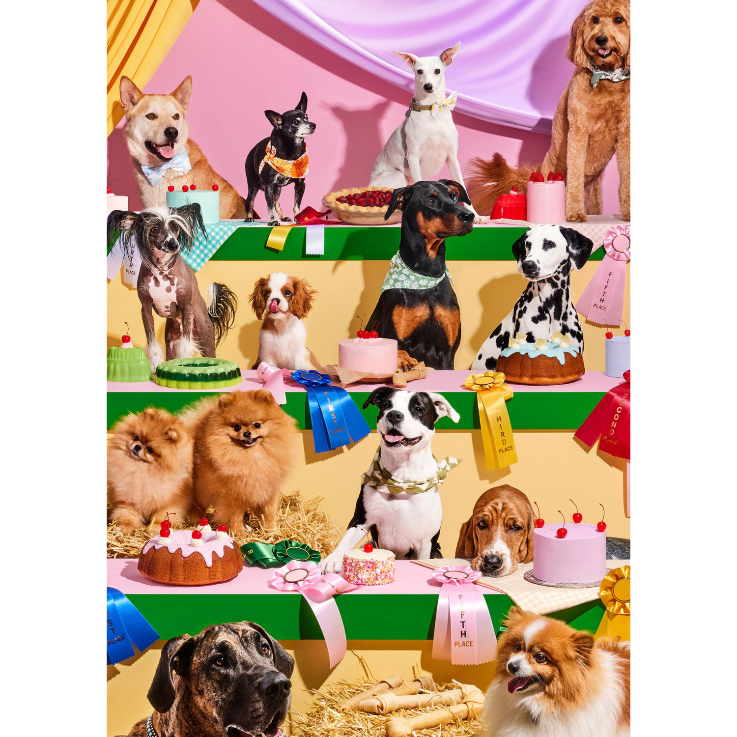 Top Dog Indoor Jigsaw 1000pc Puzzle