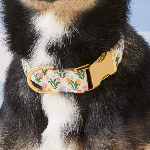 Rifle Paper Co. Pup Dog Collar  - Tulips
