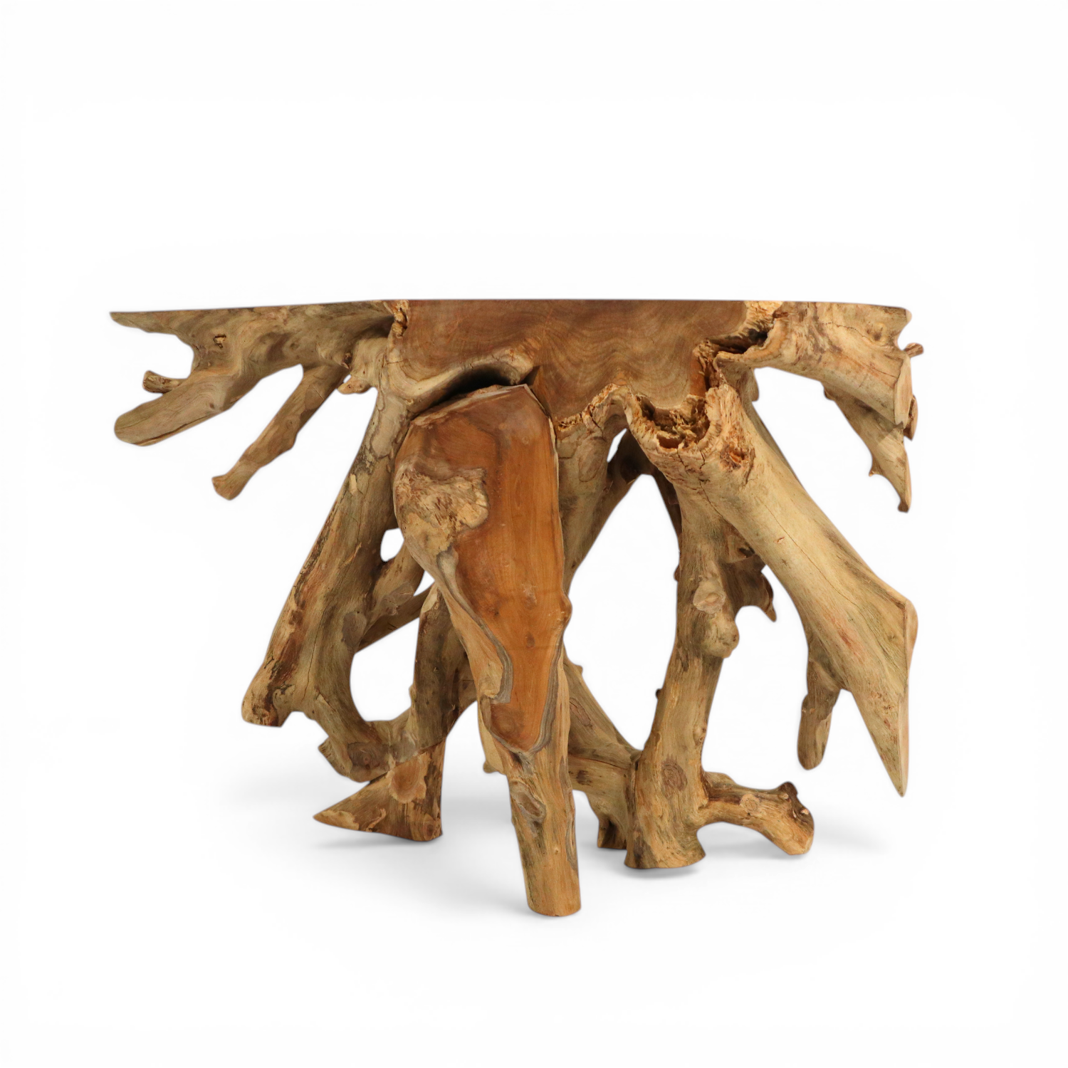 Teak Raw Root Console Table