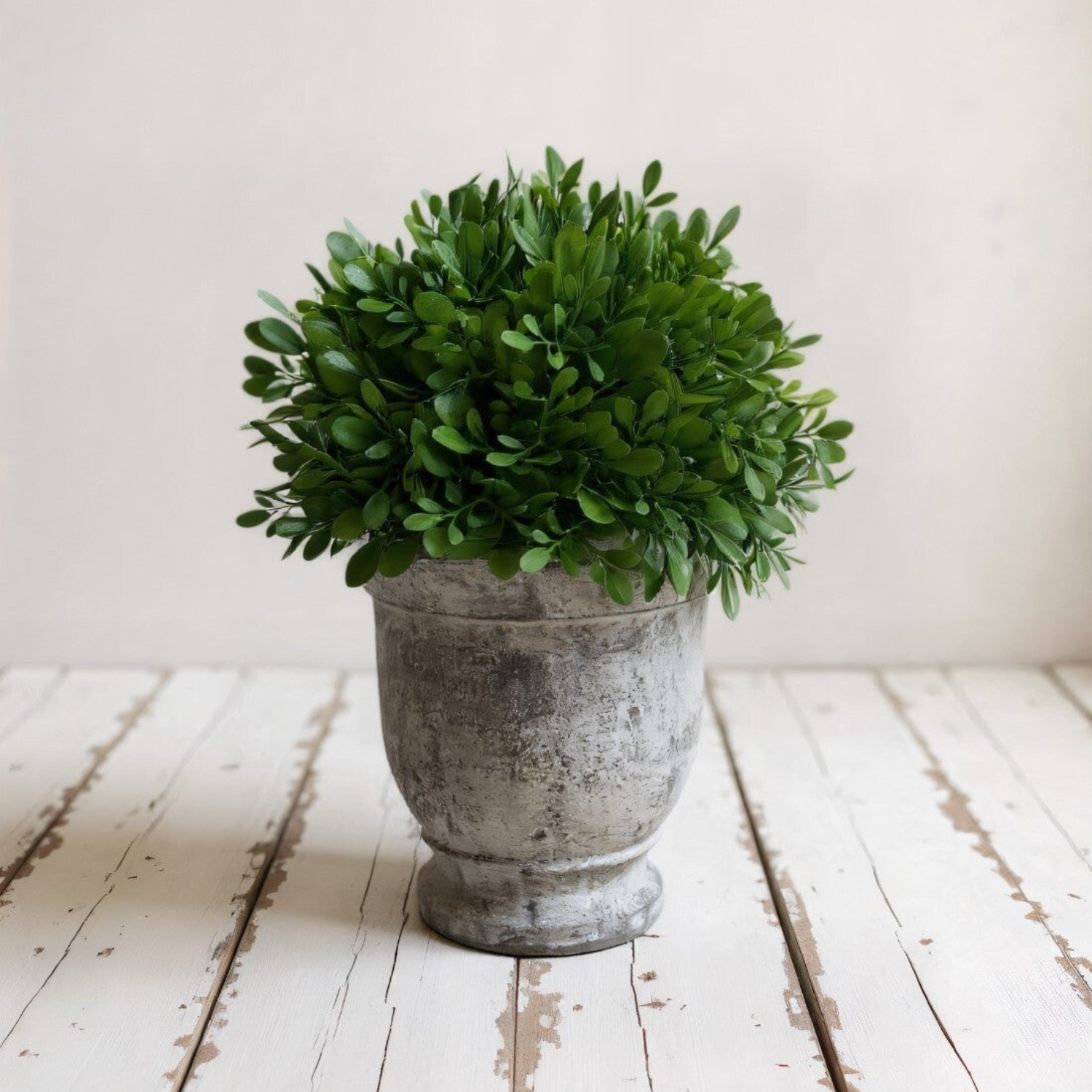 Artificial Potted Boxwood- 11H