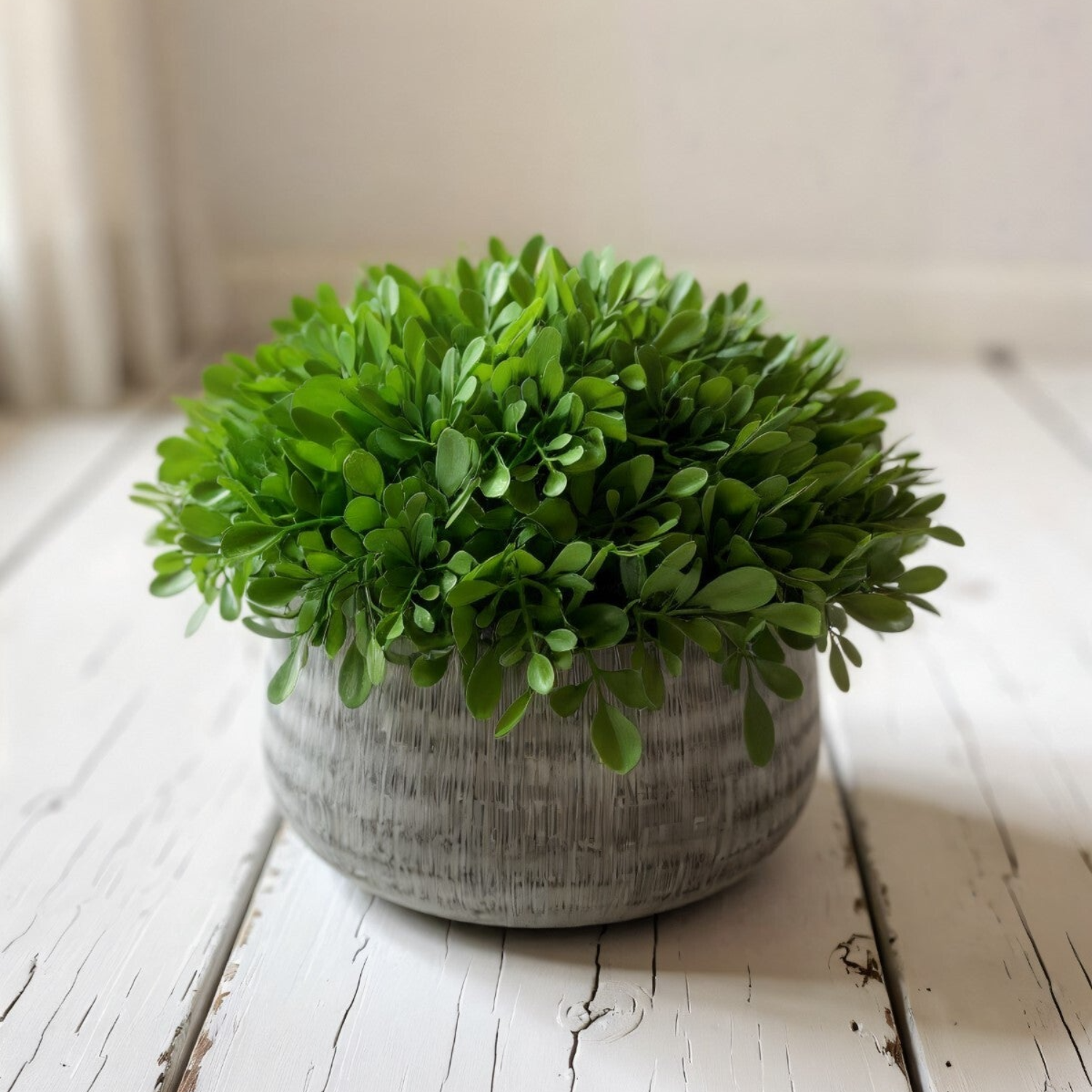 Artificial Potted Boxwood- 8H