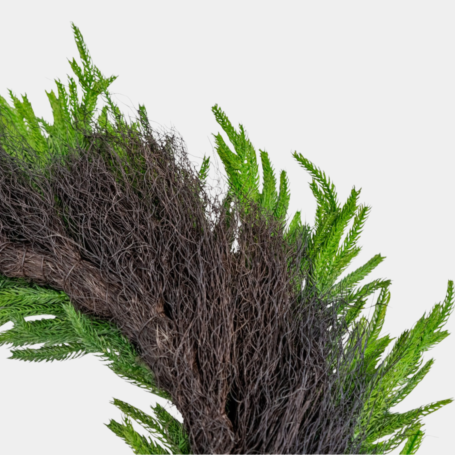 Artificial Fresh Touch Norfolk Pine Wreaths