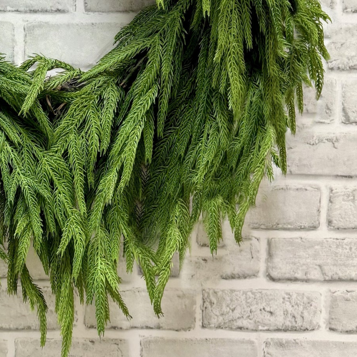 Artificial 24" Fresh Touch Norfolk Pine Heart-Shaped Wreath