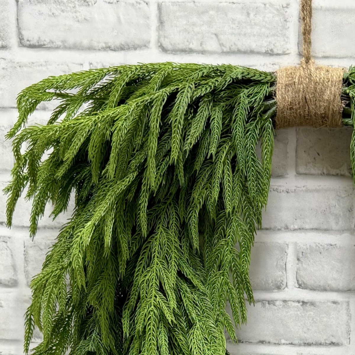 Artificial 24" Fresh Touch Norfolk Pine Heart-Shaped Wreath