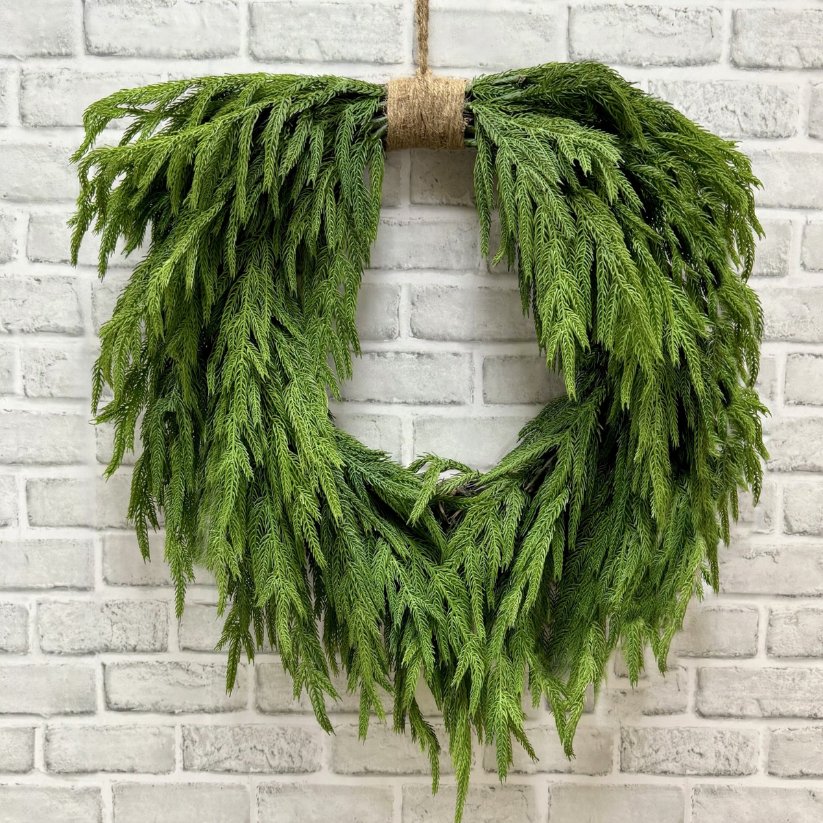 Artificial 24" Fresh Touch Norfolk Pine Heart-Shaped Wreath