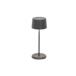 Olivia Micro Cordless Indoor/Outdoor Table Lamp